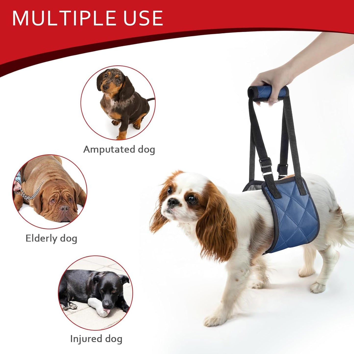 Adjustable Dog Sling Dog Lift Harness for X-Large Dogs, Hind Leg Support Portable Soft Lift Support and Rehab Harness for Weak Rear Legs, for Senior, Injured, Disabled and After Surgery Dogs X-Large
