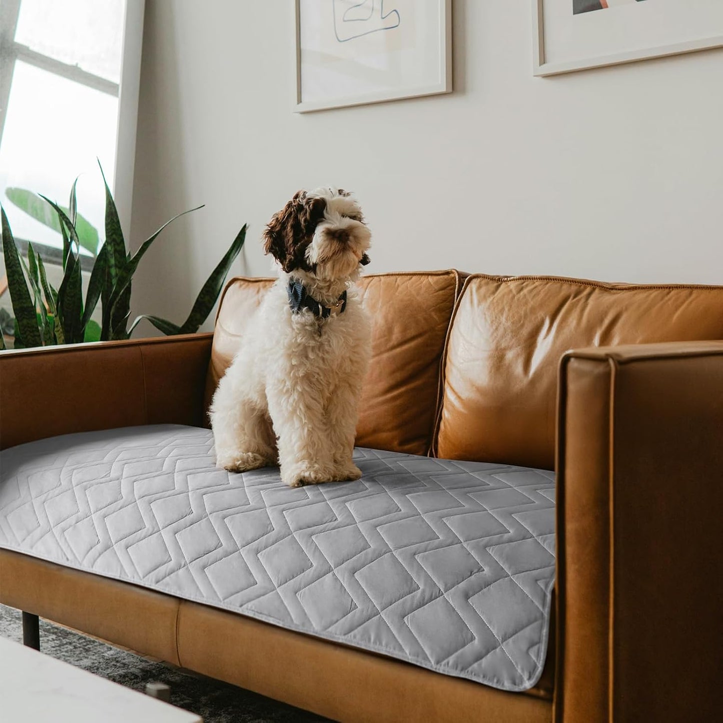Dog Blanket Antislip Pet Bed Cover Sofa Couch Furniture Protector Cover,Waterproof ,Chocolate