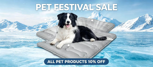 Celebrate Pet Festival with Moonsea Sleep: Comfort, Care & Travel Essentials for Your Furry Friends