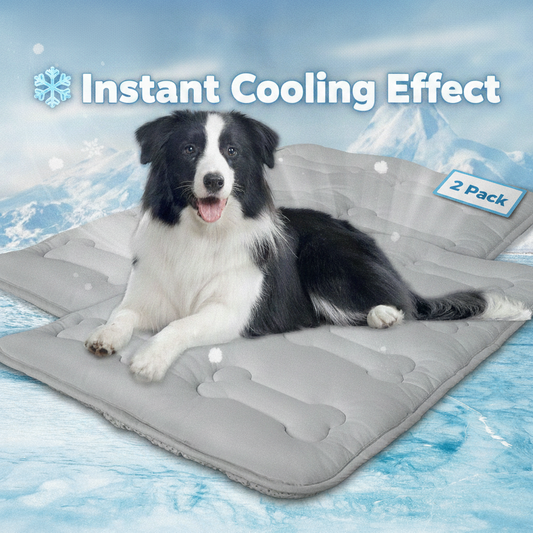 ❄️ A Simple Solution: The Cooling Dog Mat