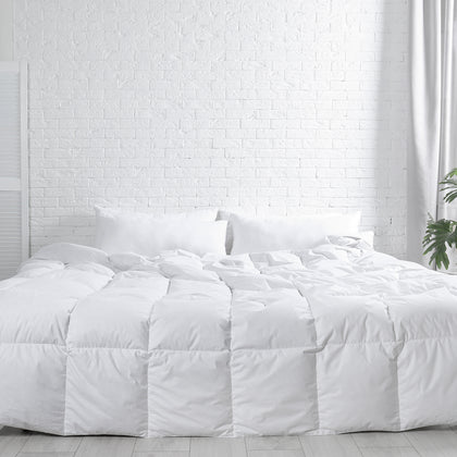 Mattress Protector