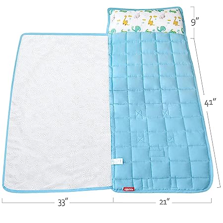 Toddler Nap Mat- Removable Pillow and Fleece Minky Blanket, 21" x 50", Dinosaur
