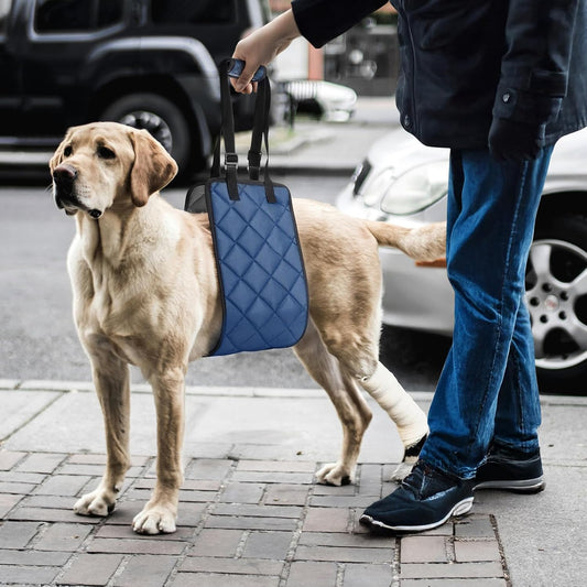 Adjustable Dog Sling Dog Lift Harness for X-Large Dogs, Hind Leg Support Portable Soft Lift Support and Rehab Harness for Weak Rear Legs, for Senior, Injured, Disabled and After Surgery Dogs X-Large